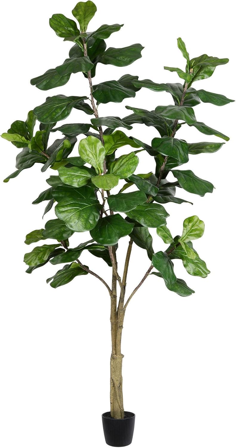 Vickerman 8ft Artificial Potted Fiddle Tree - 114 Large Fiddle Leaves - Green Silk - Artificial Indoor Fiddle Plant - Single Stem - Home Office Decor - Living Room Decor