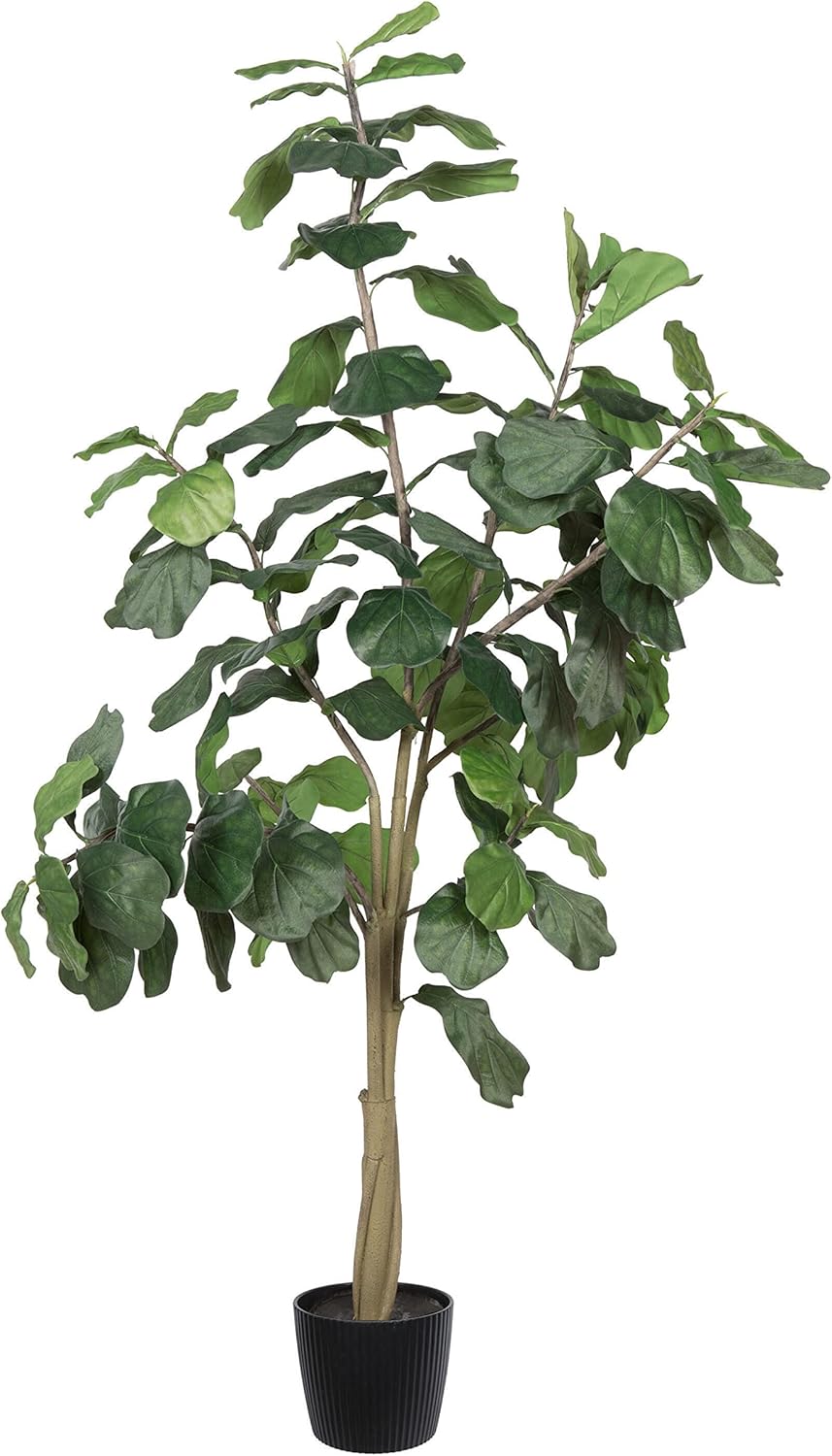Vickerman 8ft Artificial Potted Fiddle Tree - 114 Large Fiddle Leaves - Green Silk - Artificial Indoor Fiddle Plant - Single Stem - Home Office Decor - Living Room Decor