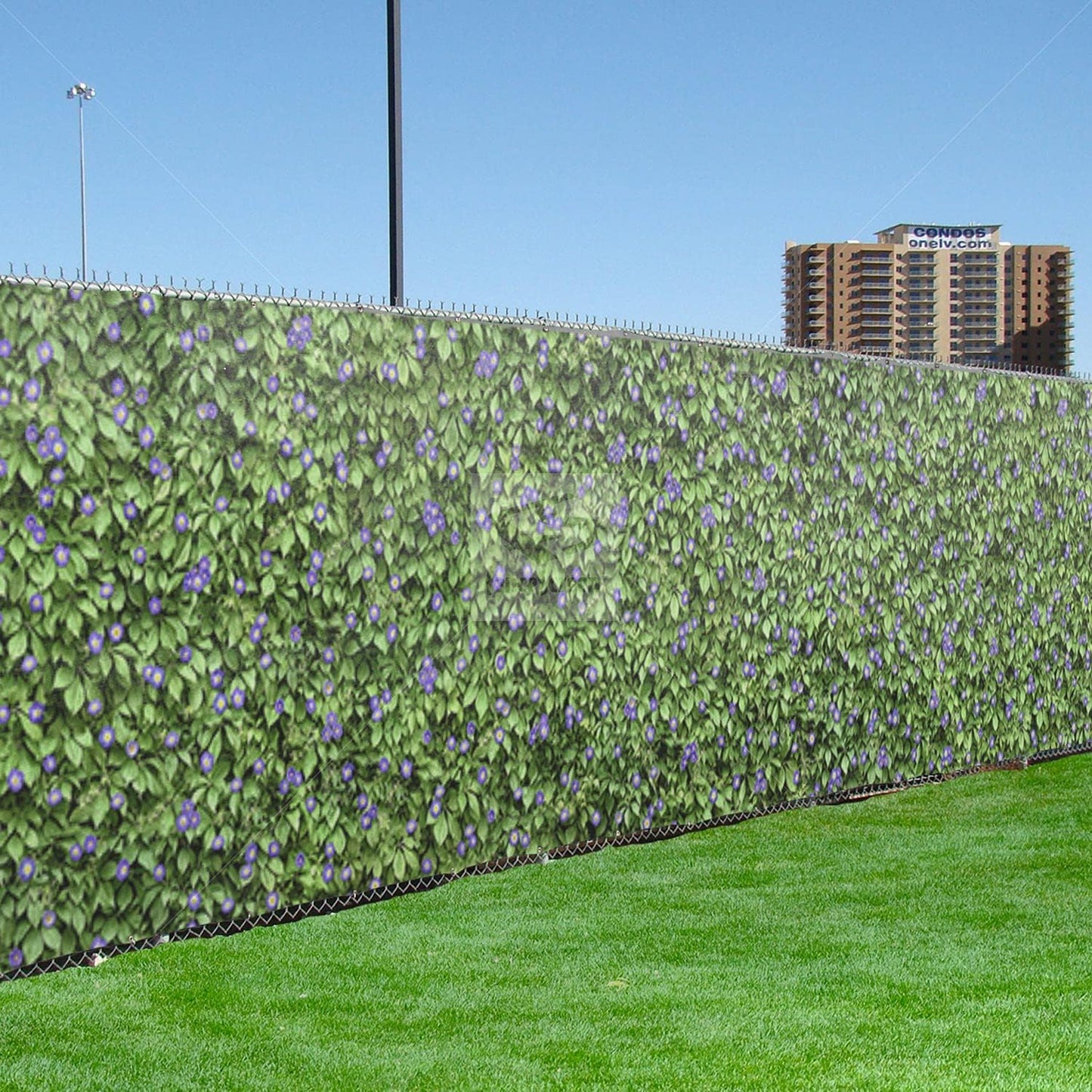 Morning Glory Purple Scenic Designer Fence Screen (6ft x 25ft)