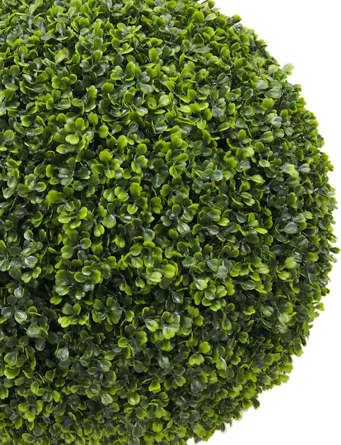 Vickerman Everyday 24 Inch Artificial Boxwood Topiary Ball - UV Resistant Indoor Outdoor - Potted Natural Green - Home Patio Tabletop Faux Bush Decoration
