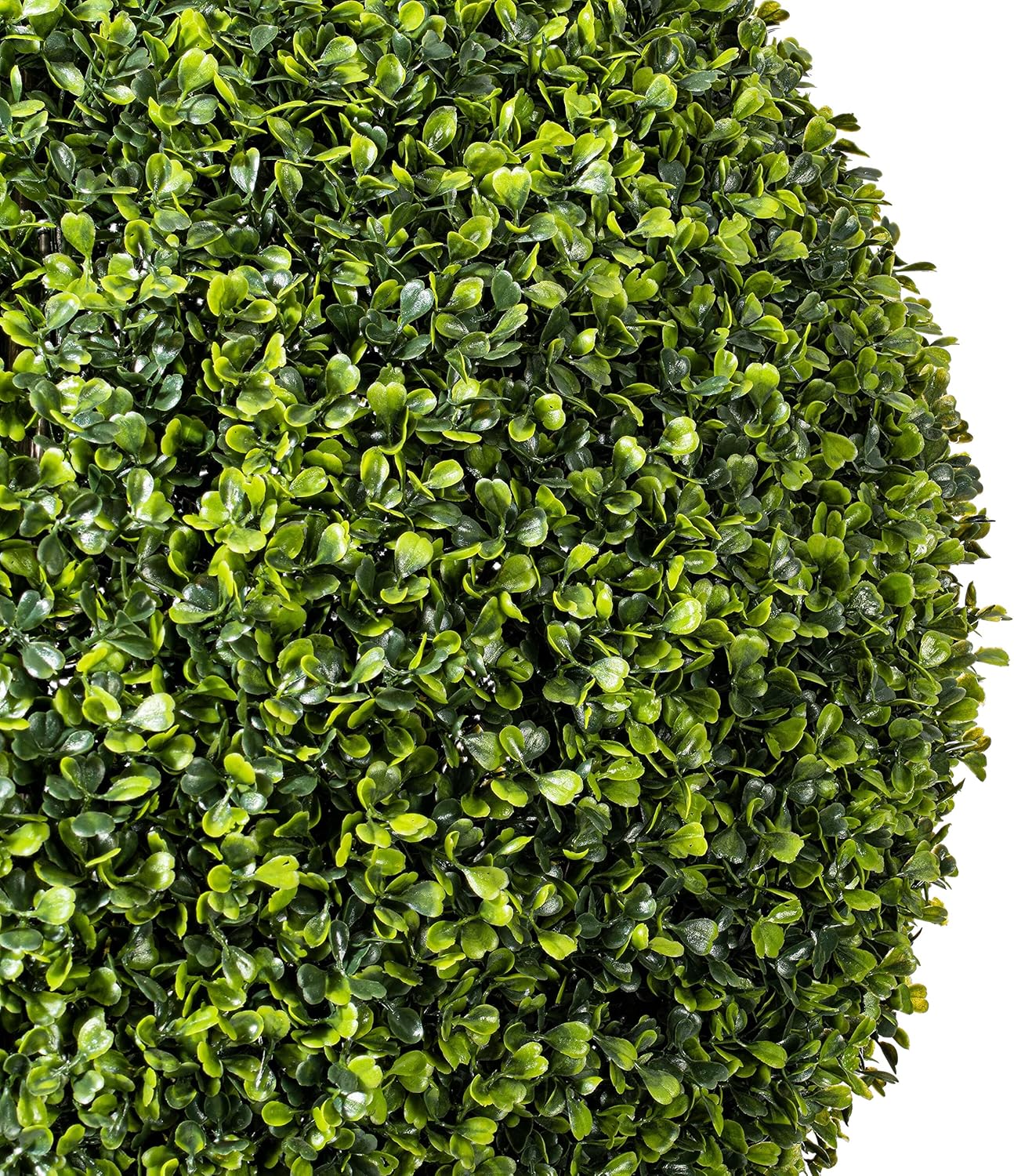 Vickerman Everyday 24 Inch Artificial Boxwood Topiary Ball - UV Resistant Indoor Outdoor - Potted Natural Green - Home Patio Tabletop Faux Bush Decoration