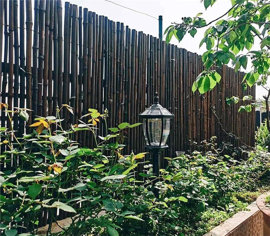 Bamboo Privacy Fence, Natural Reed Fencing, Reed Fencing, Gardening Villa Courtyard Decoration Protection Partition Wall Panel, Easy to Assemble, 3ft/ 5ft/ 6ft/ 6.5ft High(Height 1mx2m/3.2x6.5ft)